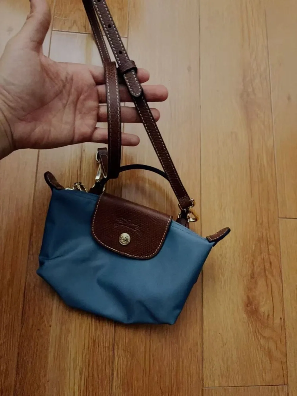 Longchamp Hand Clutch Pouch Morandi Tone Nylon Cosmetic Bag with strap